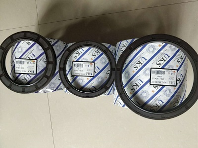 Changjiang Tuck Crane Bearing Seals